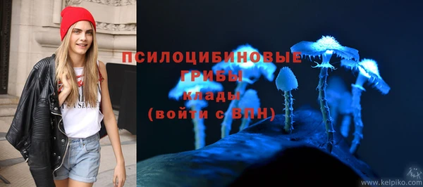 твердый Белоозёрский