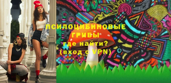 прущие грибы Белокуриха