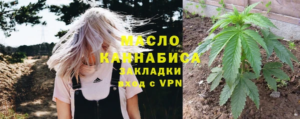 прущие грибы Белокуриха