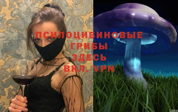 твердый Белоозёрский