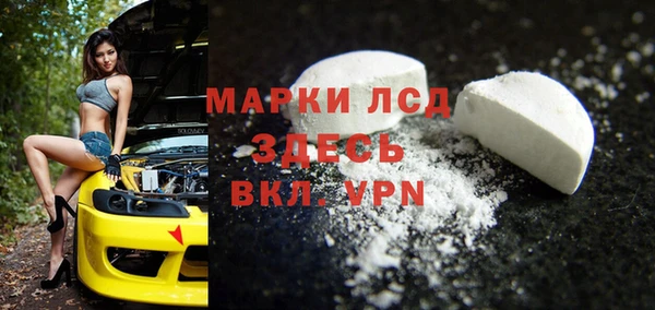 прущие грибы Белокуриха
