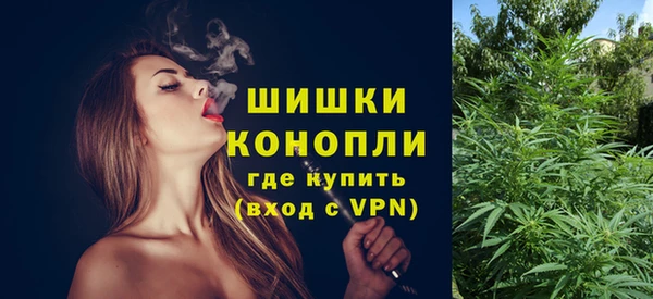 прущие грибы Белокуриха