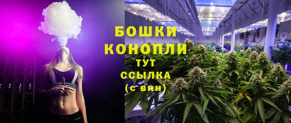 прущие грибы Белокуриха