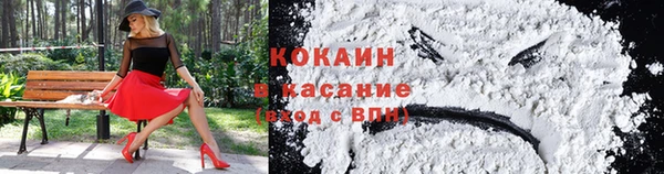 прущие грибы Белокуриха