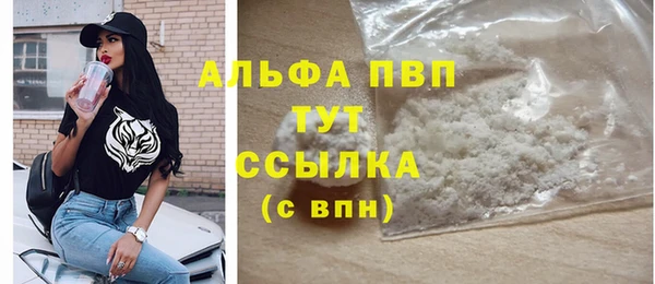 прущие грибы Белокуриха