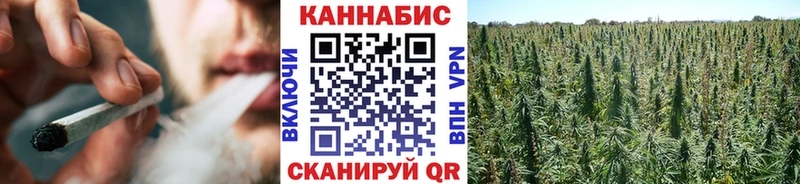 купить закладку  Орехово-Зуево  Бошки Шишки VHQ 